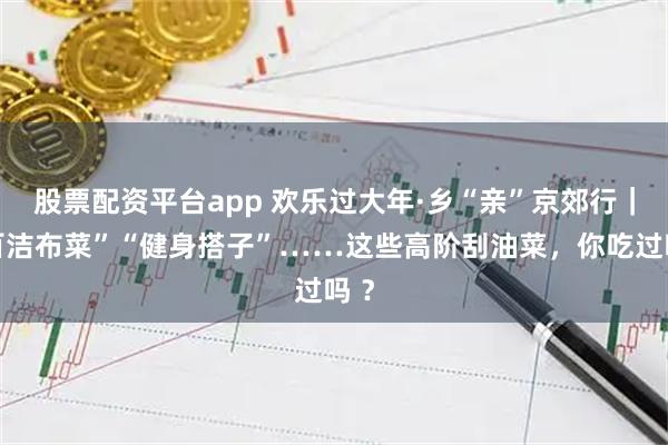 股票配资平台app 欢乐过大年·乡“亲”京郊行｜“百洁布菜”“健身搭子”……这些高阶刮油菜，你吃过吗 ？