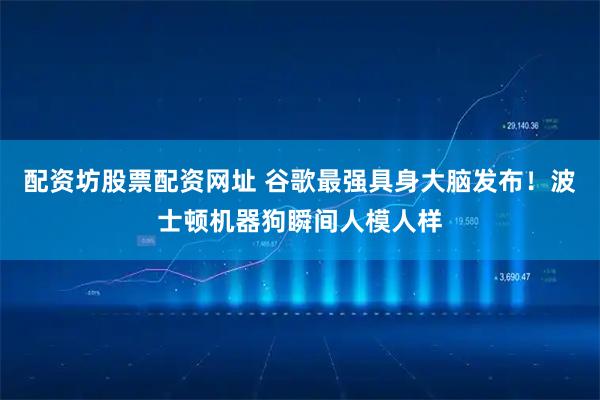 配资坊股票配资网址 谷歌最强具身大脑发布！波士顿机器狗瞬间人模人样
