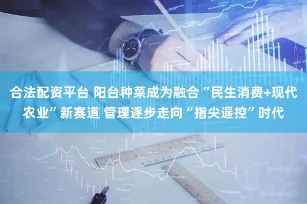 合法配资平台 阳台种菜成为融合“民生消费+现代农业”新赛道 管理逐步走向“指尖遥控”时代