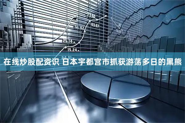在线炒股配资识 日本宇都宫市抓获游荡多日的黑熊