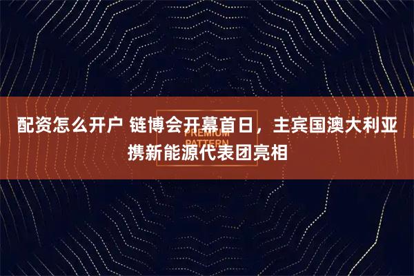 配资怎么开户 链博会开幕首日，主宾国澳大利亚携新能源代表团亮相